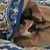 Patty Kathleen Rhinesmith's profile image