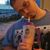 David Gibson Jr.'s profile image