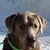 Carol Halsne Monson's profile image