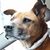 Kim Phillips's profile image