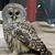 Linda J Geary's profile image
