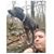 Tim Waldo's profile image