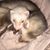 Jason Romig's profile image