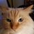 Mike Gaedtke's profile image