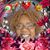 Pat Johnson's profile image