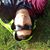 Luca Raneri's profile image