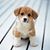 Terri Navarrete's profile image