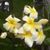 Margaret Brown's profile image