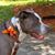 Durkee Marilyn's profile image