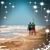 Wendy Haffelder's profile image
