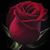 Flor Manzano's profile image