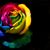 Brandy Green's profile image