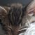 Nathaly Mazurel's profile image