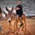 Lisa Perales Casas's profile image
