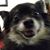 Katie Scholz's profile image