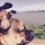 Nala B. Mtz's profile image