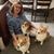 Betsy Foltman Wright's profile image