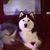 Judy Price's profile image