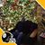 Christian Atkinson's profile image