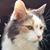 Ebby Simpson's profile image