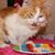Maria Guadalupilla's profile image
