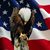 Allen Williams's profile image