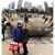 John Everingham's profile image