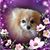 Gregg Judd's profile image