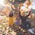 Mayra Dominguez-Quiroz's profile image