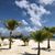 Doreen Cerny- Caltabiano's profile image