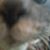 Jeffrey William Nolle's profile image