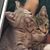 Manda Marie's profile image