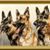 Sharon Clark Todoroff's profile image