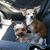 Myrna Martinez's profile image