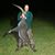 David Williams's profile image