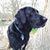 Craig Beadle's profile image