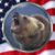 Hans Griswold's profile image