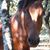 Bstreefarm Florida's profile image