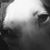 John M. Price's profile image