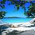 Michelle Goglia's profile image