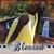 LaKeshia Jenkins McFadden's profile image