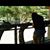 Mariilyn Saldana's profile image