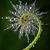 Cheryl Stotsky's profile image