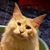 Pat Rivera's profile image