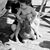 Cindy Martel McQuade's profile image