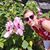 Lyndsey Myers's profile image