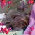 Fitz Kody's profile image