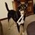 Frieda Herron's profile image