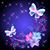 Phyllis Dreis's profile image