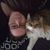 Kitty Hughes's profile image